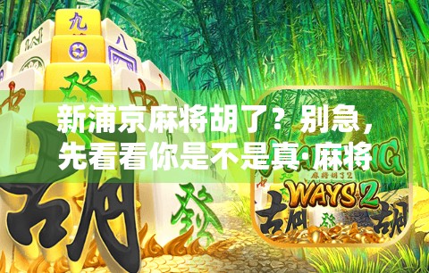 新浦京麻将胡了?别急,先看看你是不是真·麻将高手! 新浦京麻将胡了?别急,先看看你是不是真·麻将高手!