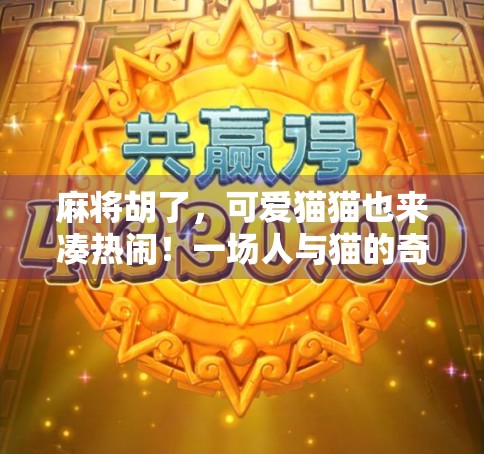 麻将胡了，可爱猫猫也来凑热闹！一场人与猫的奇妙牌局